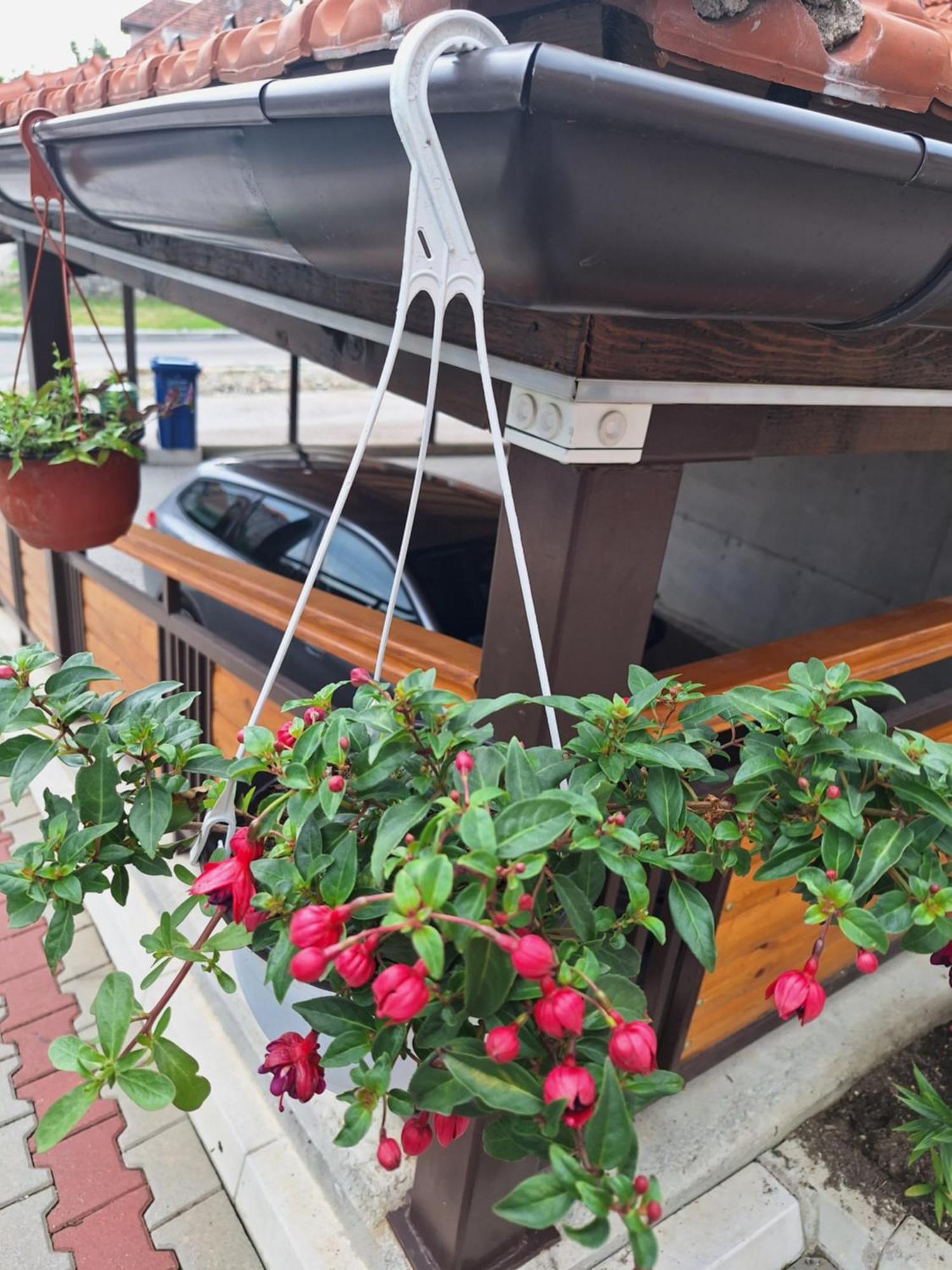 Apartments Monte Vista זלאטיבור חדר תמונה